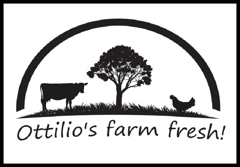 Ottilio's farm fresh!